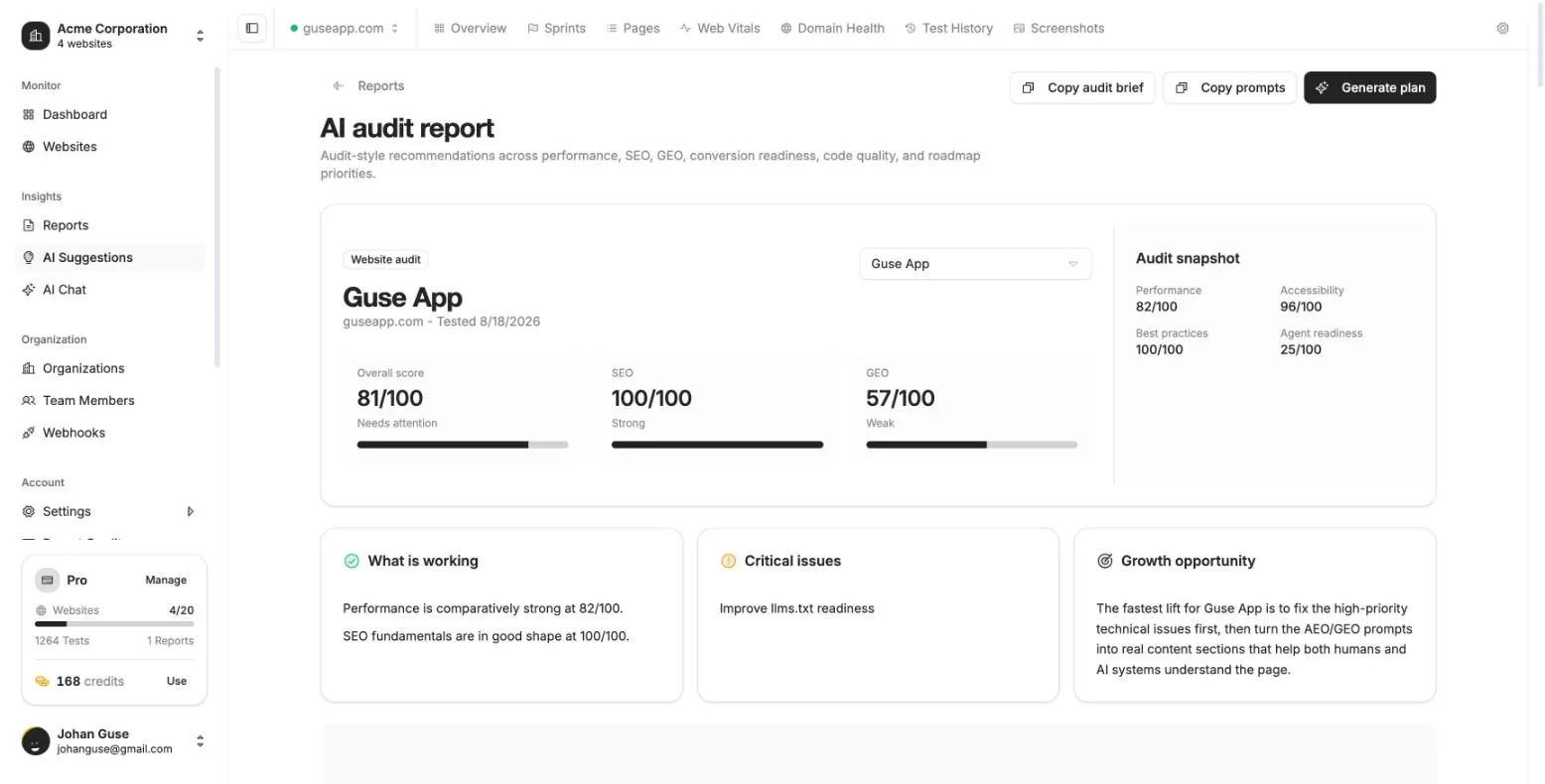 Website Audits screenshot
